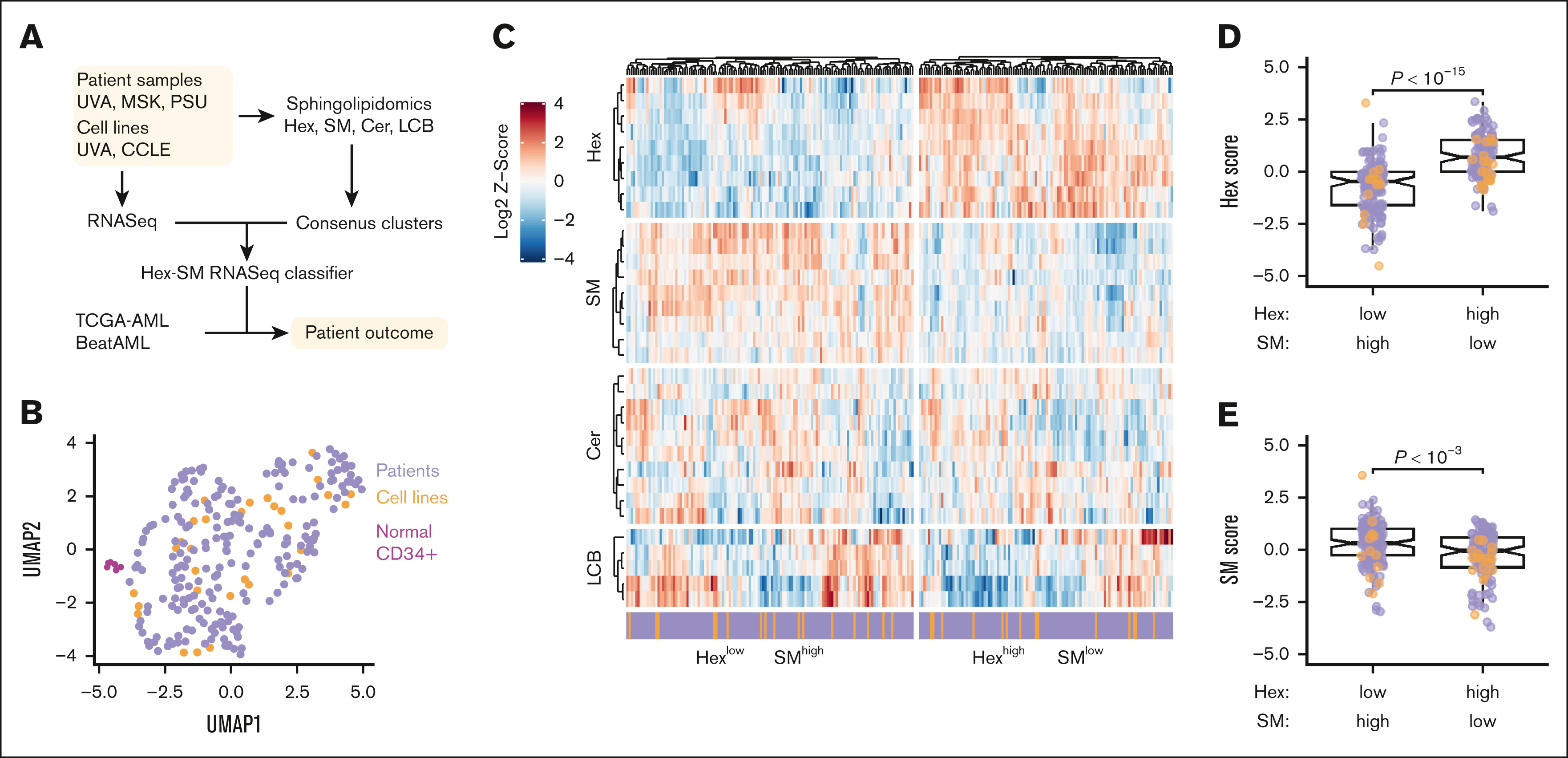 Acute myeloid leukemia stratifies as 2 clinically relevant sphingolipidomic subtypes